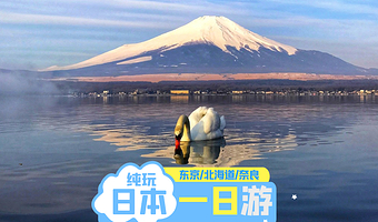 富士山+山中湖+奈良公园+北海道+东京的KABA 水陆两用巴士一日游【日本一日游/东京/北海道/京都】