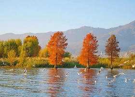 四姑娘山景区一日游