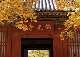 忻州洪福寺+延庆寺+广济寺+洪福寺+南禅寺+佛光寺一日游【忻州出发南禅寺+佛光寺+洪福寺一日游（拼小团）】