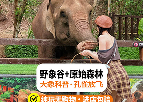 野象谷+西双版纳原始森林公园一日游【可选头等舱坐席/15人小团+真纯玩不进店+金牌导游+邂逅野象】