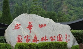 渭南少华山国家森林公园一日游【西安市三环内接送精致小团邂逅相约少华山】