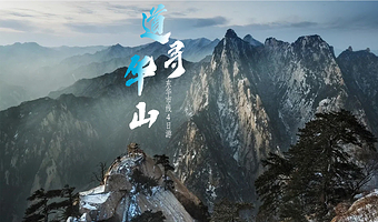 【道寻华山】西安秦始皇兵马俑+华清宫+华山+西安博物院四日游