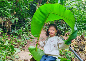 【南帕雨林徒步全长5KM|捡拾野生菌+向导+空中走廊+瀑布+树降秋千+竹筏溯溪+午餐】