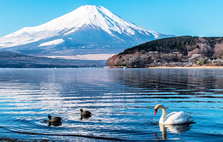 东京富士山五合目+河口湖+山中湖+KABA全景一日游【9人精品小团·上门接送·可选KABA】