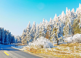 【多酒店可选】武隆仙女山景区内/仙女山镇酒店1晚含双早+仙女山森林公园双人票