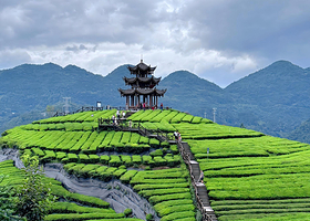 狮子关旅游区+伍家台贡茶文化旅游区+宣恩贡秀一日游【8人纯玩团+上门接送+本地司导+4人以上可升级独立团】