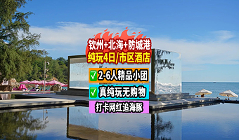刘永福故居+苏廷有旧居+钦州老街景区+三娘湾+犀丽湾+白浪滩+怪石滩+北海老街+北海银滩景区四日游