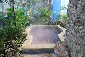 【酒店套餐】野生原酒店1晚+双人早餐+双人单次/无限次温泉