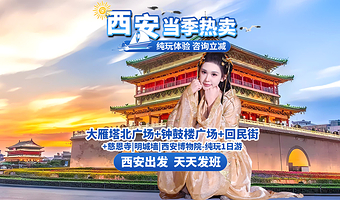 西安大慈恩寺+大雁塔+回民街+钟鼓楼广场一日游【西安出发-二环以内上门接|纯玩无购物|市区一日游】