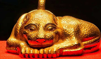 南京博物院2H精讲20人团多场次【可选含门票或不含门票】