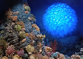 【私家团】上海自然博物馆1.5小时/2小时专业人工讲解