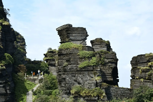 贵州铜仁【梵净山】东进东出票+往返观光车+往返索道套票预约自由打卡