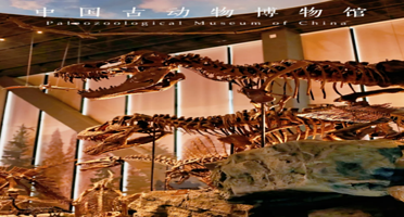 河北保定·中国古动物馆(保定自然博物馆)门票带预约