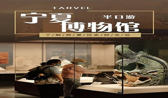 宁夏博物馆私享人工讲解【1-10人小包团◆资深导师◆多场时段选择】