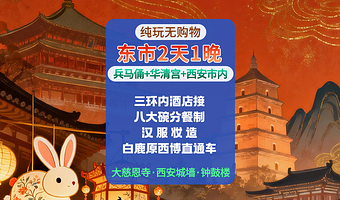 秦始皇帝陵博物院(兵马俑)+华清宫+西安城墙+大雁塔+大慈恩寺二日游【含餐/市区酒店】