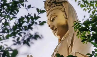 舟山普陀山风景区私家团【私人导游+大门票+往返船票·许愿还愿静心之旅·祈福路线】