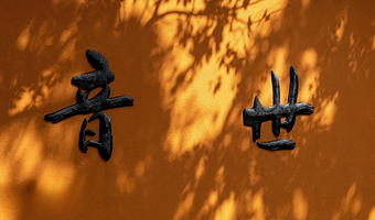 舟山普陀山风景区一日游【可选私家团/大门票+往返船票·许愿还愿静心之旅·祈福路线】