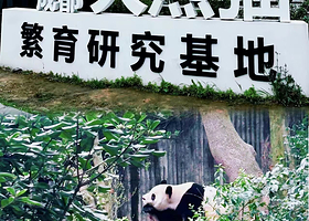 【2大1小套餐|路程1km左右】熊一猫困了酒店（成都熊猫基地店）住1晚+2大1小成都大熊猫繁育研究基地门票