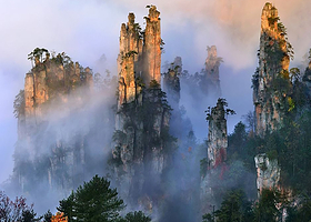 张家界国家森林公园一日游【巨划算 极至性价比 纯玩无隐形购物】