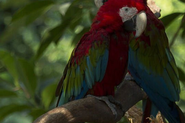 流溪河国家森林公园旅游