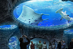 香港海洋公园