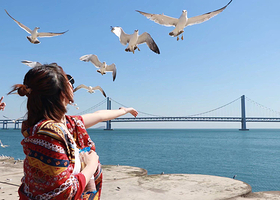 限时大促大连人气环海纯玩一日游含帆船出海+棒棰岛海滩捡贝壳+网红小火车云端俯瞰大连+威尼斯水城