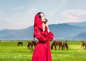 丽江至香格里拉小团二日游【虎跳峡+松赞林寺普达措+依拉草原】