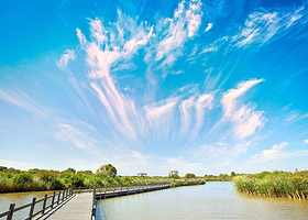 东营黄河口生态旅游区一日游【东营出发】