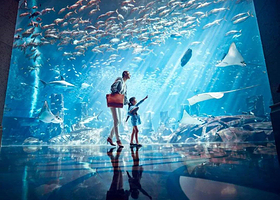 三亚亚特兰蒂斯水族馆+南湾猴岛一日游【纯玩私家团、上门接送】