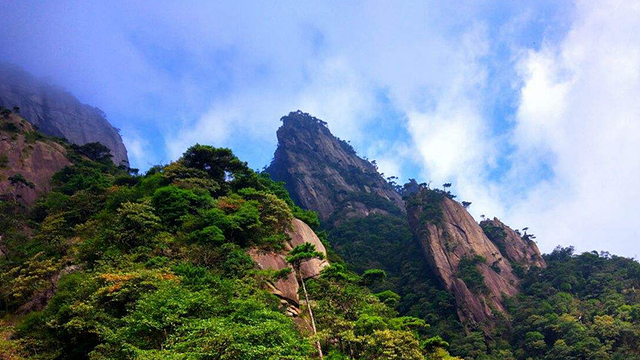 73尊享团73婺源经典东线三清山风景区纯玩3日游导游全程陪同