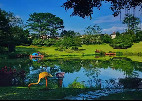 【错峰出游限时特惠】清远佛冈碧桂园假日温泉酒店（官方直营店）+无限次温泉&亲亲鱼疗+品粤式桑拿鸡+酒店甄选活动