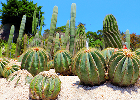 厦门+鼓浪屿+福建土楼+武夷山+九曲溪竹筏漂流+植物园+帆船赶海7日6晚跟团纯玩游高端四钻酒店