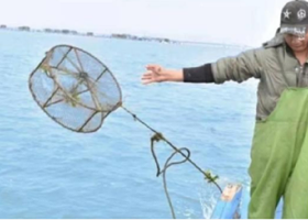 漳州东山岛西埔湾渔辉码头渔民体验【撒网捕鱼收蟹笼/鱼排海钓/鱼获带走/海鲜现捕现吃】