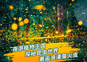 夜游植物园丨西双版纳中科院热带植物园夜游14点出发/乌兰魅影/夏日纯玩/夜游讲解员陪同讲解/硬核科普