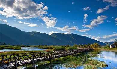 ec7a3ef0234ac6cccdb.jpg_r_390x260x90_09181ff0.jpg