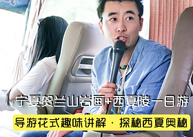 宁夏博物馆+西夏陵+贺兰山岩画一日游【景区定点专业讲师讲解+佩戴无线耳麦+精讲景区+10人内精品讲解团】