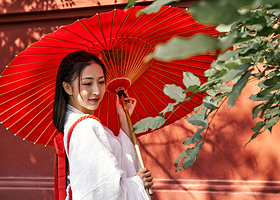 北京故宫博物院一日游【小团游-京状元品牌精讲团队】