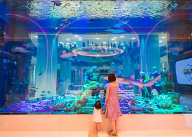 亲子度假|抚仙湖星海湾酒店公寓1晚+双人早餐+双人超级大马戏/海豚之家&海豚科普馆/彩虹谷萌宠乐园多套餐可预订