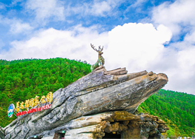 香格里拉普达措国家公园+纳帕海一日游【县城内酒店上门接送 纯玩无购物 】