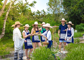 泰国清迈奶奶厨房Grandma Home Cooking/昌厨艺学校特色体验 泰式料理 可选时间包接送