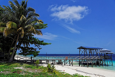 *欢乐亲子*广州直飞沙巴5天4晚双岛游~浮潜~自由活动一天~品尝美食