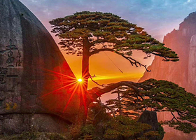 黄山风景区+宏村三日游【宿山顶观日出•中午出发•游西海大峡谷•坐网红小火车•纯玩无购物•导游全程陪同上山讲解】