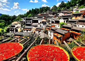 婺源篁岭一日游【黄山市区接送•赠送往返索道•悬崖四季晒秋景观•上门接送•纯玩无购物】