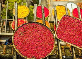 婺女洲度假区+望仙谷+婺源篁岭三日游【可选8人小团•看非遗打铁花•送遇见婺源演出票•仙宿悬崖灯光夜景•梯田】