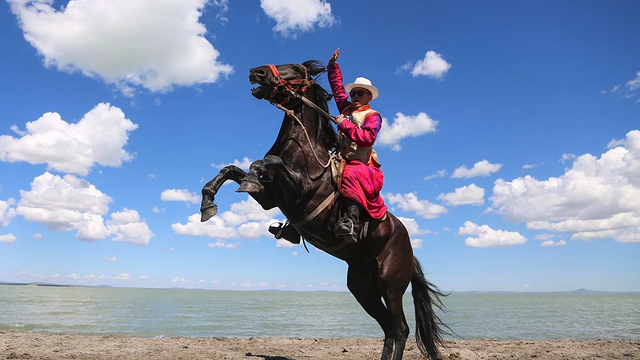 木兰围场 承德塞罕坝国家森林公园 乌兰布统草原二日游【2天1晚 纯玩