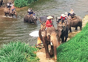 【酒店接送 中文导游】泰国旅游清迈湄登大象营一日游  骑大象|大象表演|骑牛车|竹筏漂流|可选大象营半日游