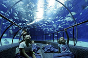 自选上海海洋水族馆/上海科技馆,入住上海新国际博览中心龙阳路亚朵酒店
