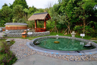 熊猫故里最萌熊猫基地 雅安梦温泉酒店1晚 双温双早 可代订碧峰峡风景