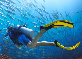 【当天可定/独立私家小团】专车上门接送/出行时间自由选择（三亚蜈支洲岛/分界洲岛/西岛/猴岛/呆呆岛）