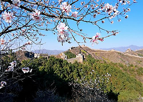 八达岭长城+颐和园一日游【2-8人私家团·五环内上门接送.可选大巴团】